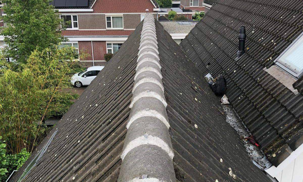 Nokvorsten IJsselstein